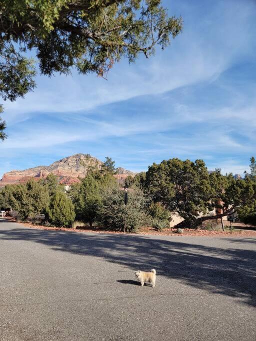 Photo of Outdoor in West Sedona