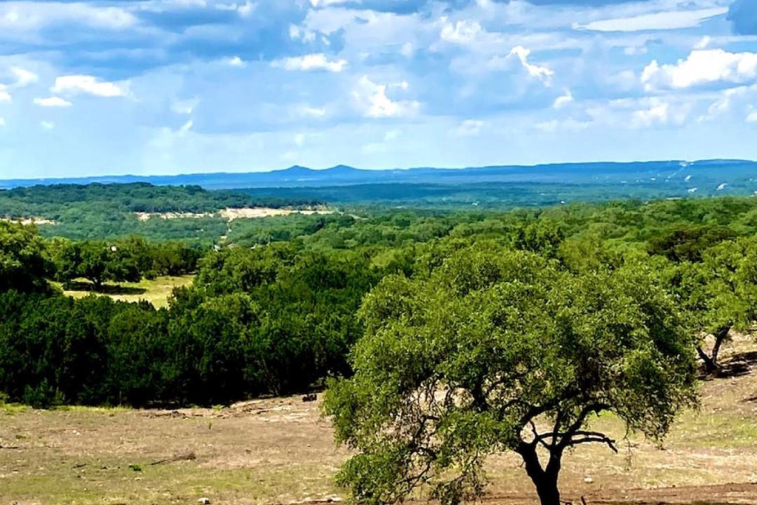 Photo of Others in Spring Branch