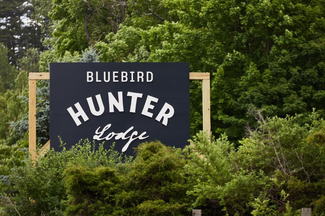 Photo of Others in Hunter