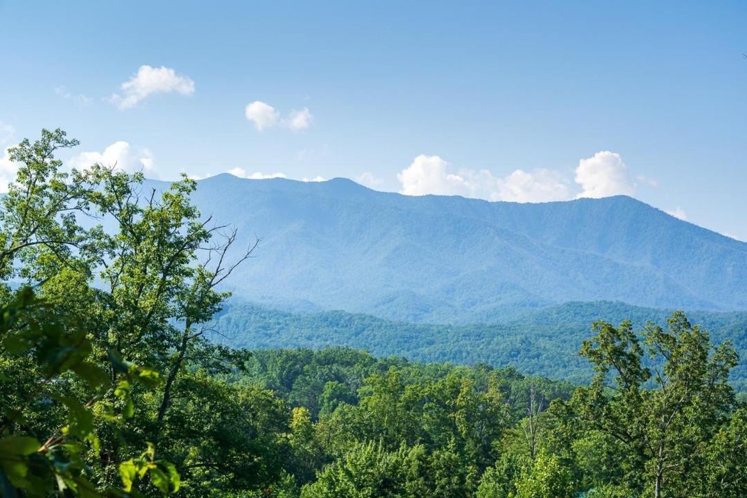 Photo of Outdoor in Black Bear Falls