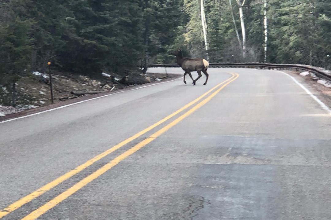 Photo of Others in Cloudcroft
