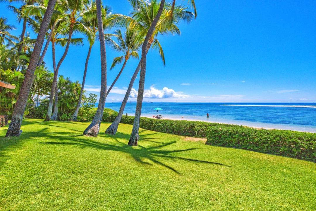 Photo of Outdoor in Historic Lahaina Front Street