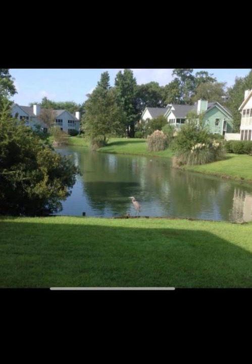 Photo of Others in North Charleston