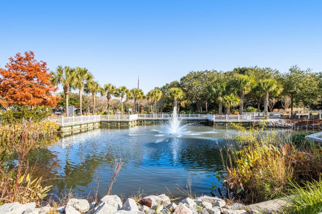 Photo of Outdoor in Isle of Palms