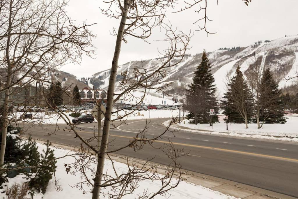 Photo of Others in North Park City