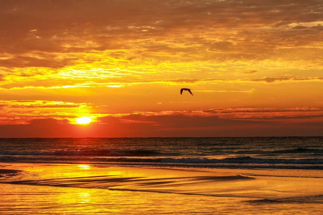 Photo of Outdoor in Biltmore Beach