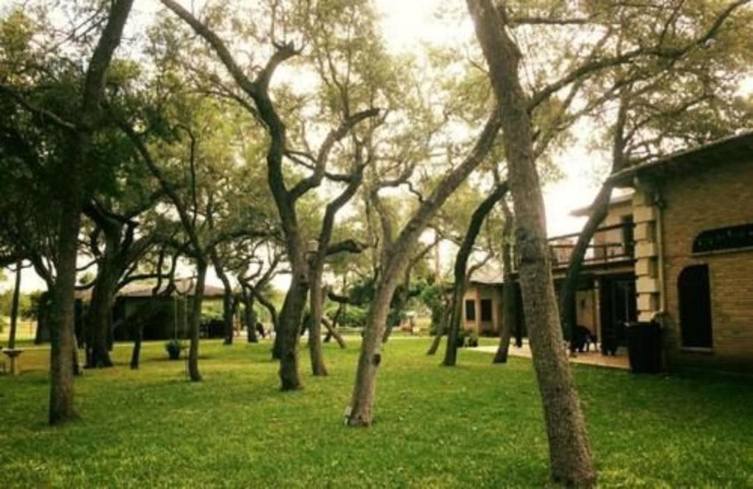 Photo of Others in Uvalde