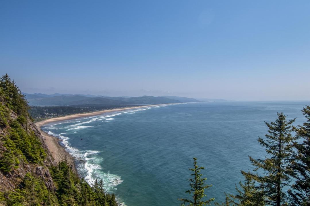 Photo of Others in Manzanita