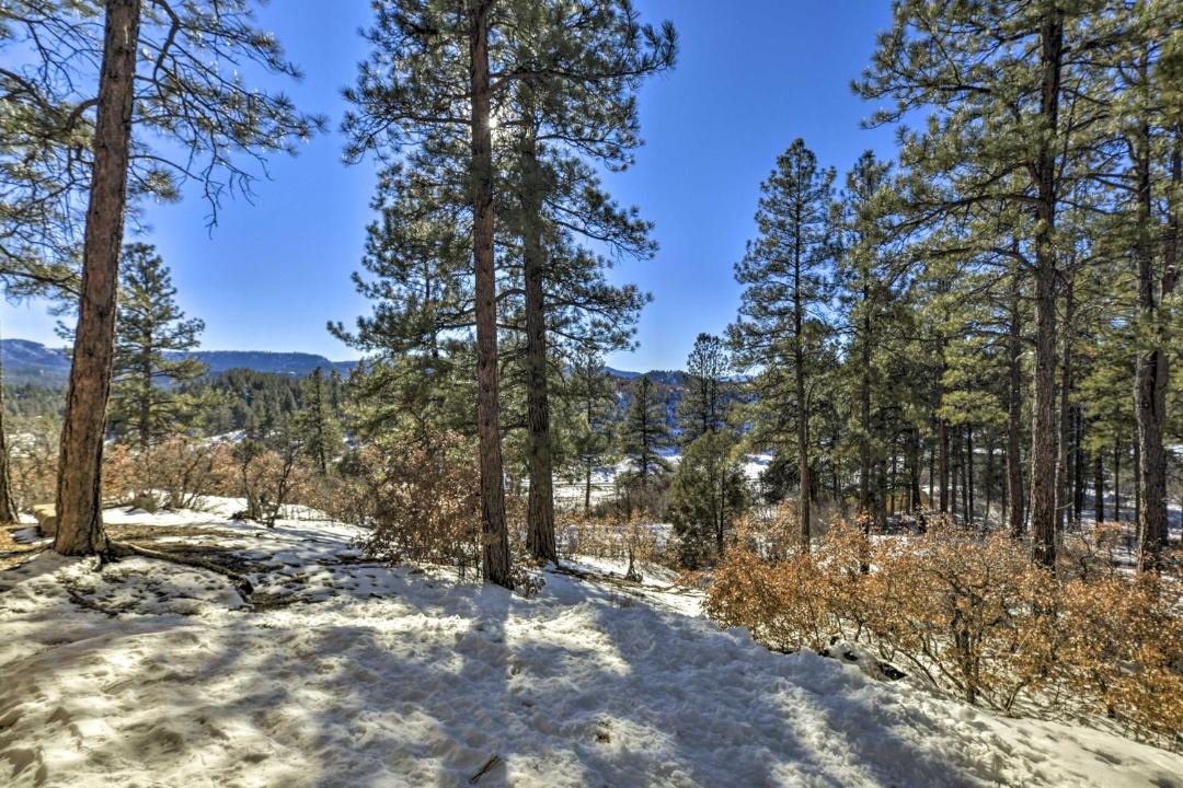 Photo of Outdoor in Pagosa Springs