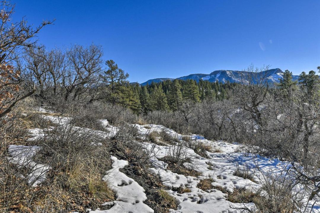 Photo of Others in Pagosa Springs