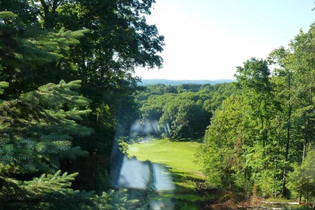 Photo of Outdoor in Bellaire