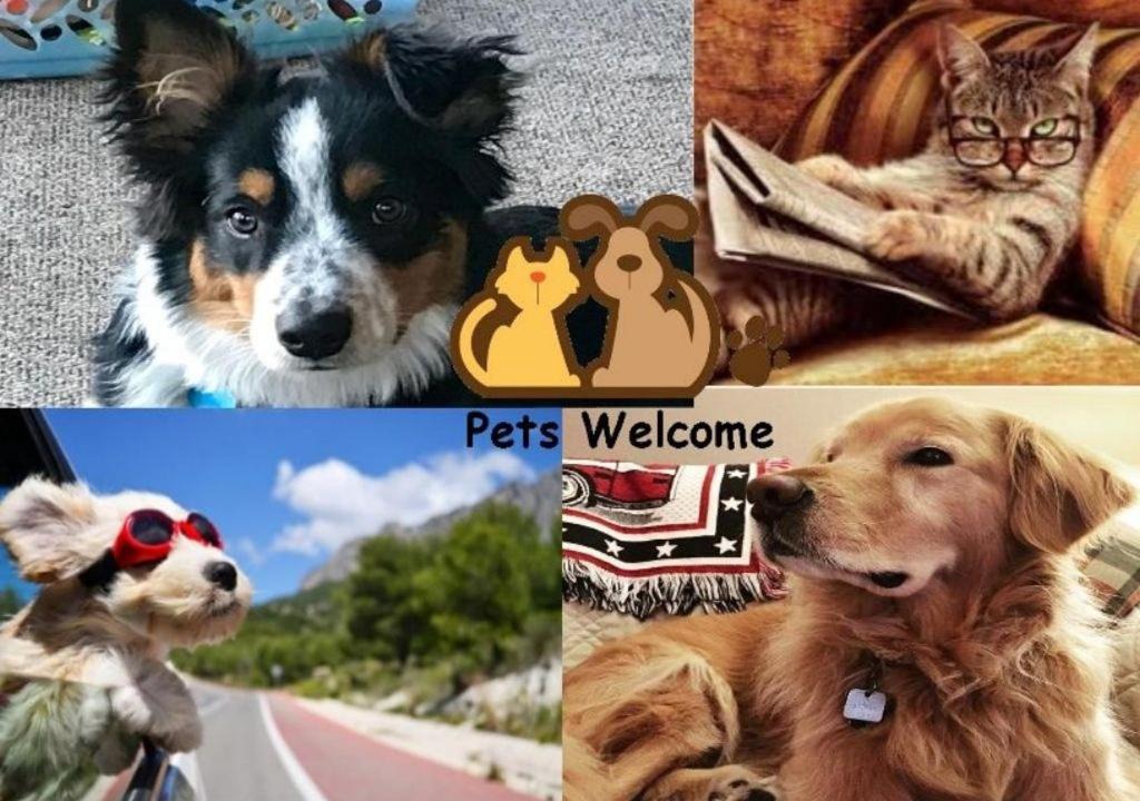 Photo of Others in Gatlinburg