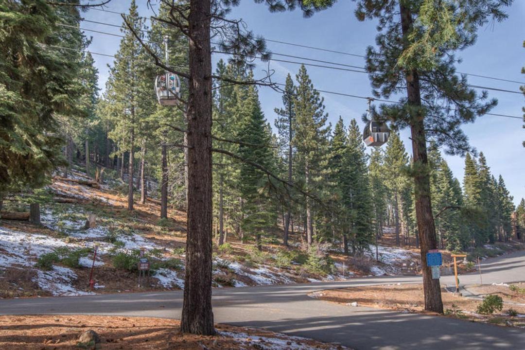 Photo of Others in Truckee