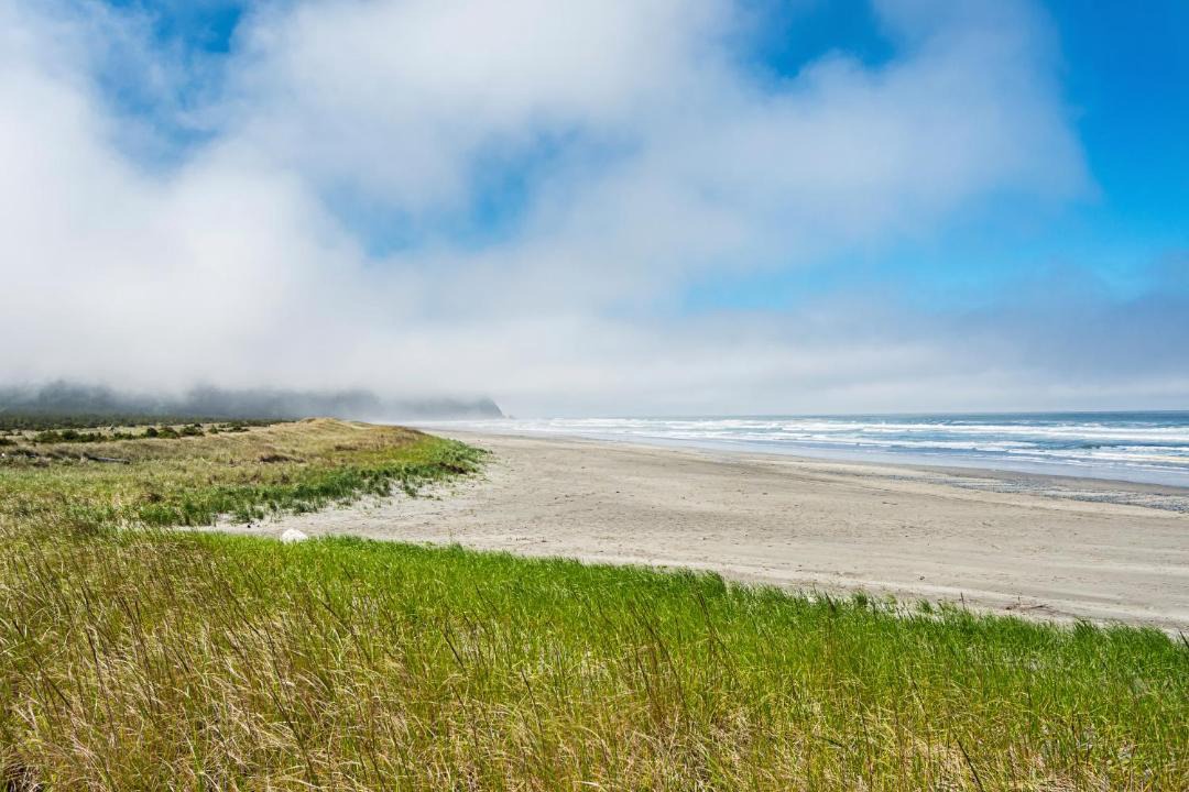 Photo of Outdoor in Seaview