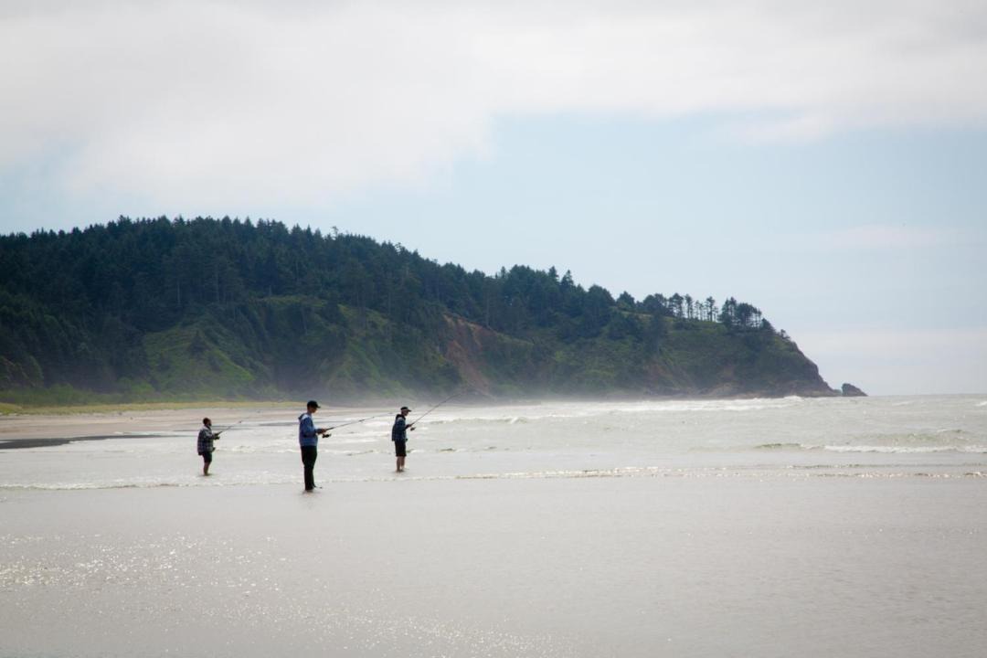 Photo of Others in Seaview