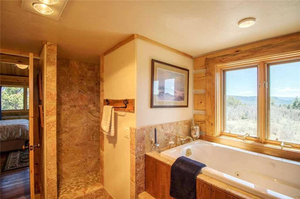 Photo of Livingroom in Pagosa Meadows IV