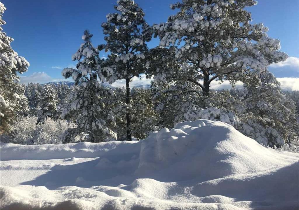 Photo of Others in Pagosa Meadows IV