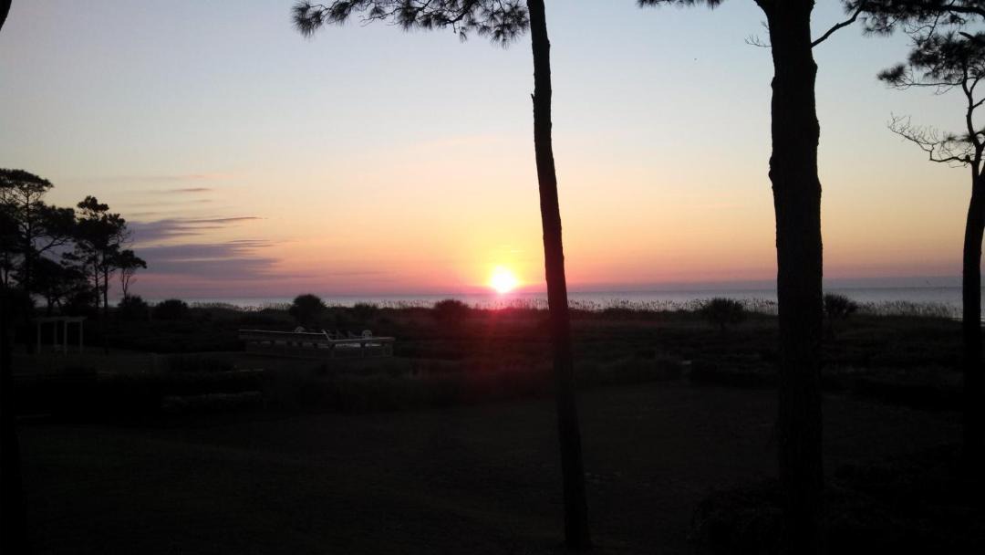 Photo of Others in Hilton Head Island