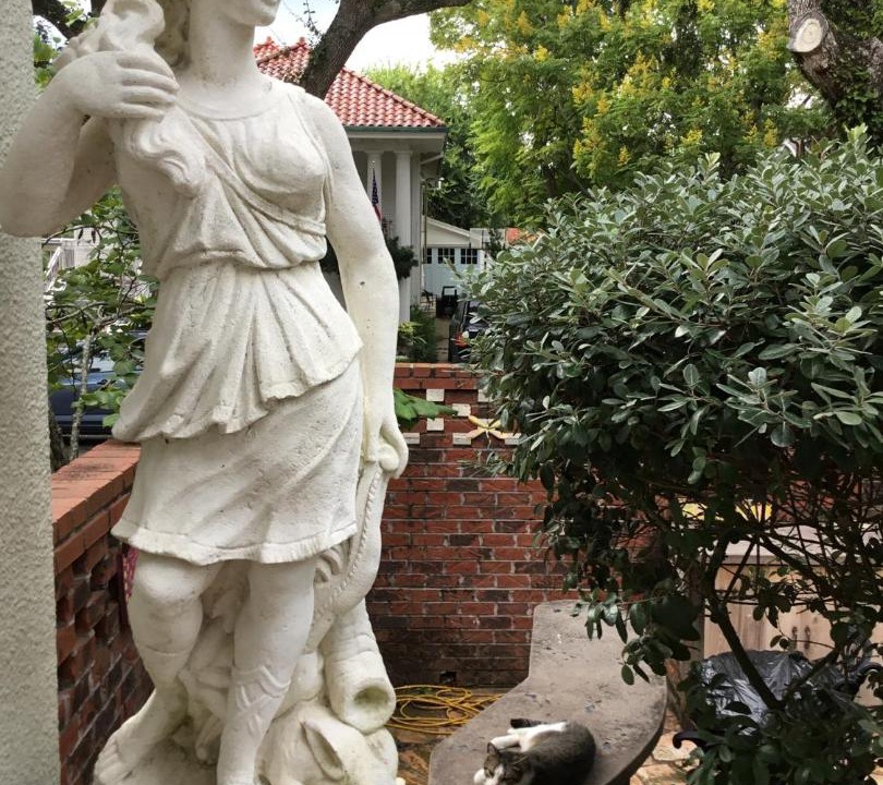 Photo of Others in New Orleans
