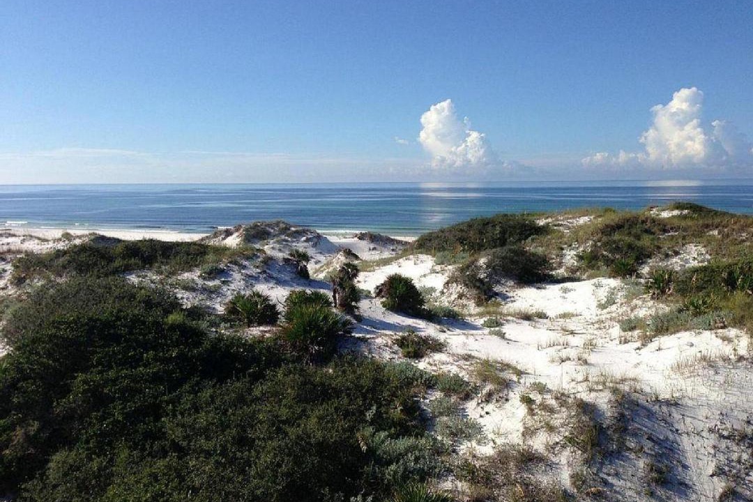 Photo of Outdoor in WaterSound Beach
