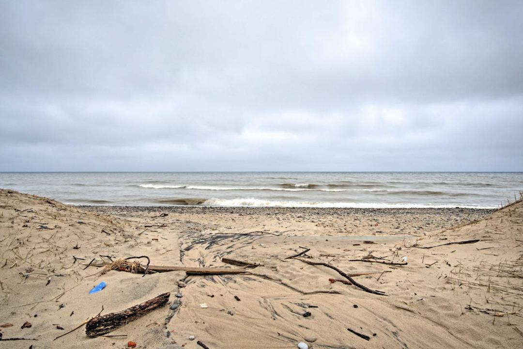 Photo of Others in South Haven