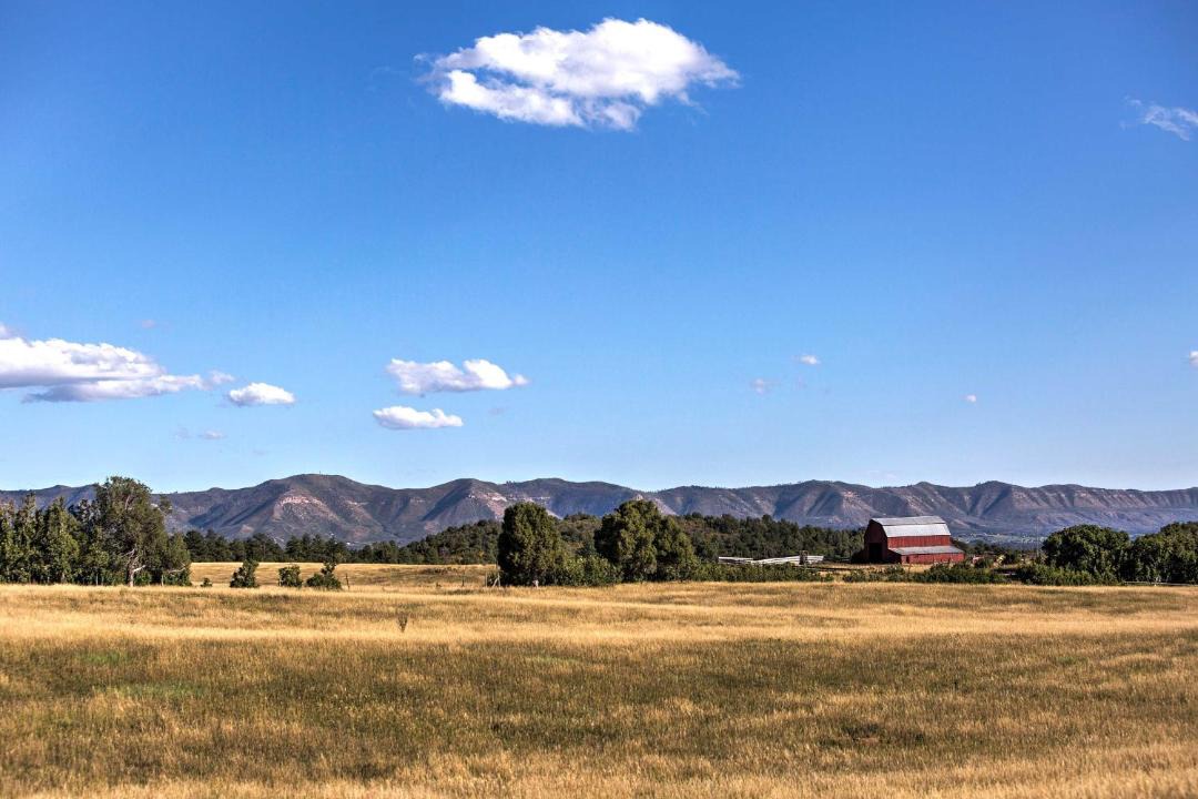 Photo of Others in Mancos
