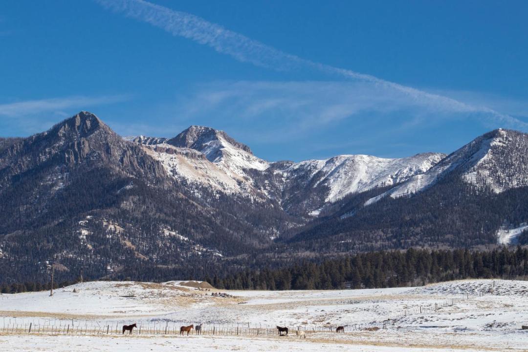 Photo of Others in Pagosa Springs