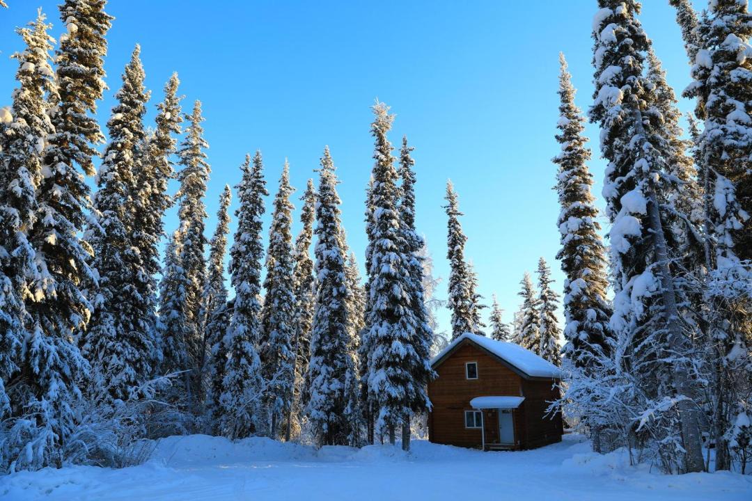Photo of Buildings in Fairbanks