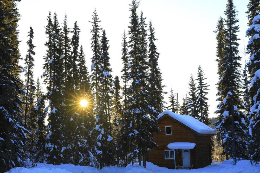 Photo of Buildings in Fairbanks