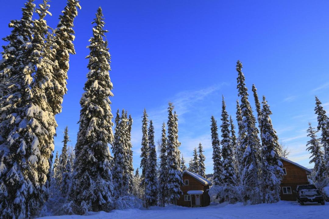 Photo of Others in Fairbanks