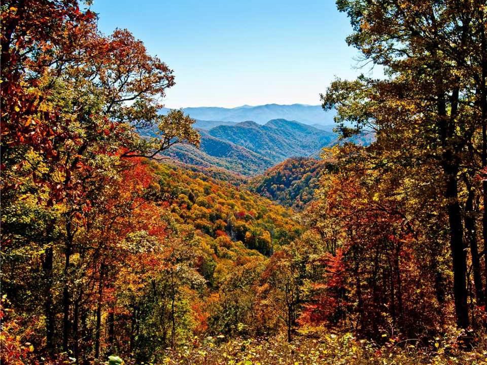 Photo of Others in Gatlinburg