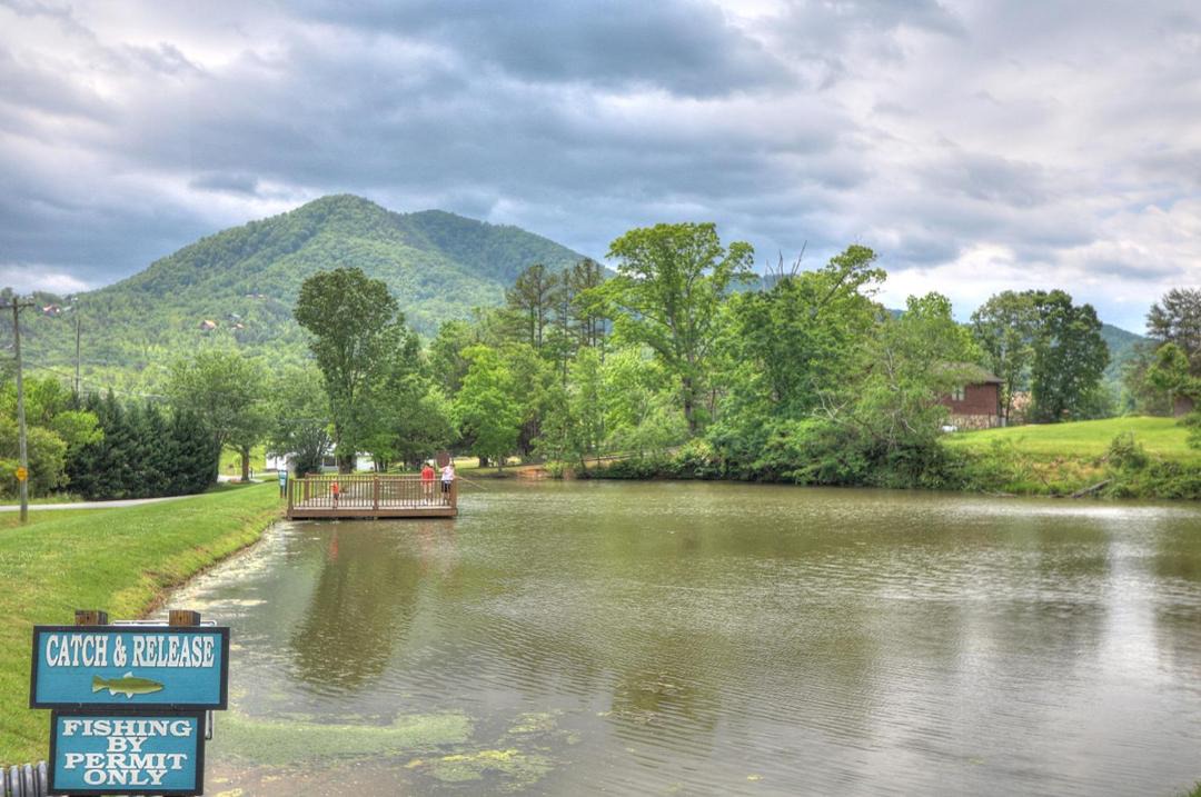 Photo of Outdoor in Wears Valley