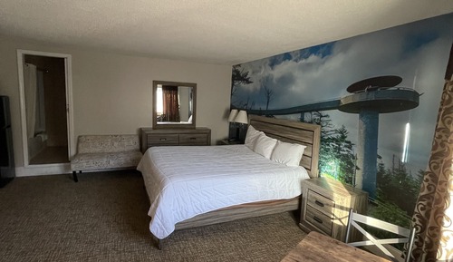 Room, 1 King Bed