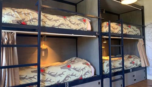 Bed in 4-Bed Mixed Dormitory Room